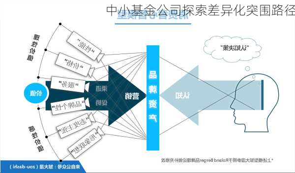 中小基金公司探索差异化突围路径