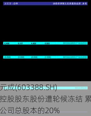 ST元成(603388.SH)：控股股东股份遭轮候冻结 累计近公司总股本的20%