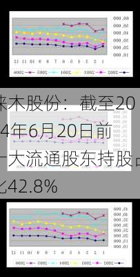 徕木股份：截至2024年6月20日前十大流通股东持股占比42.8%