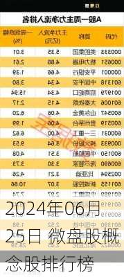 2024年06月25日 微盘股概念股排行榜