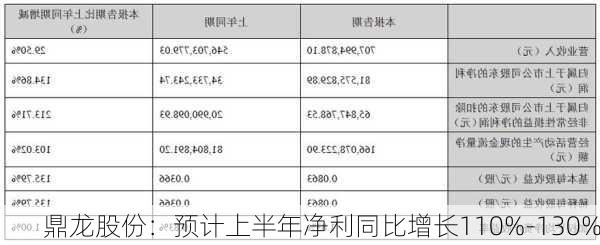 鼎龙股份：预计上半年净利同比增长110%-130%