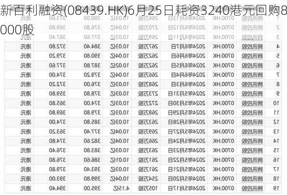 新百利融资(08439.HK)6月25日耗资3240港元回购8000股