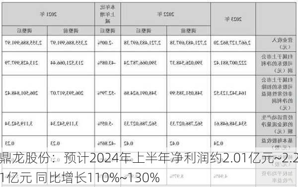 鼎龙股份：预计2024年上半年净利润约2.01亿元~2.21亿元 同比增长110%~130%