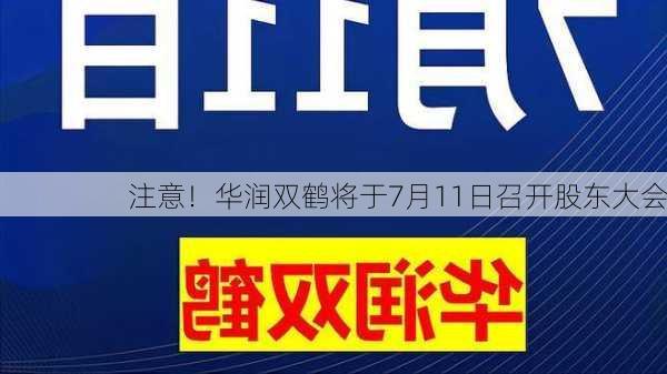 注意！华润双鹤将于7月11日召开股东大会