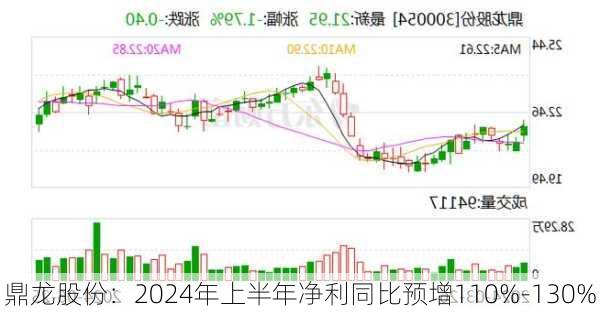 鼎龙股份：2024年上半年净利同比预增110%-130%