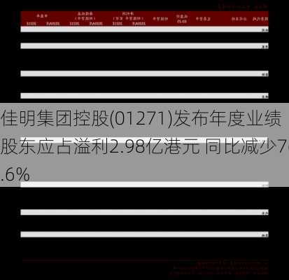 佳明集团控股(01271)发布年度业绩 股东应占溢利2.98亿港元 同比减少76.6%