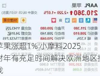 苹果涨超1% 小摩料2025财年有充足时间解决欧洲地区挑战