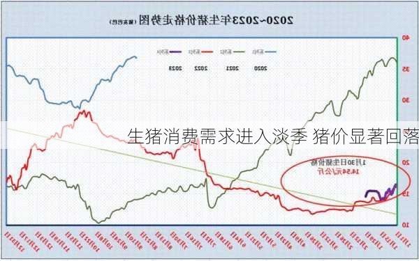 生猪消费需求进入淡季 猪价显著回落
