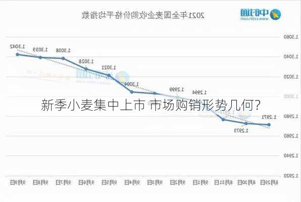 新季小麦集中上市 市场购销形势几何？