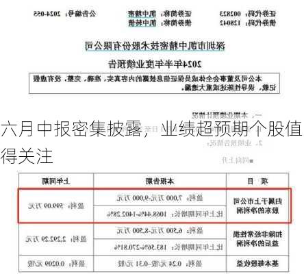 六月中报密集披露，业绩超预期个股值得关注