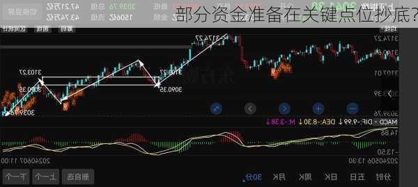 部分资金准备在关键点位抄底？