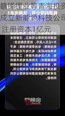 赣锋锂业等青海投资成立新能源科技公司 注册资本1亿元