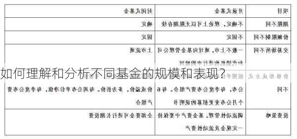 如何理解和分析不同基金的规模和表现？