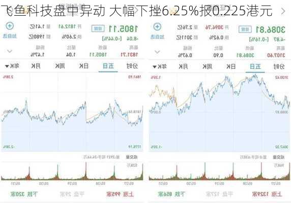 飞鱼科技盘中异动 大幅下挫6.25%报0.225港元