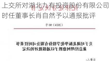 上交所对湖北九有投资股份有限公司时任董事长肖自然予以通报批评