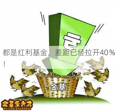 都是红利基金，差距已经拉开40％！