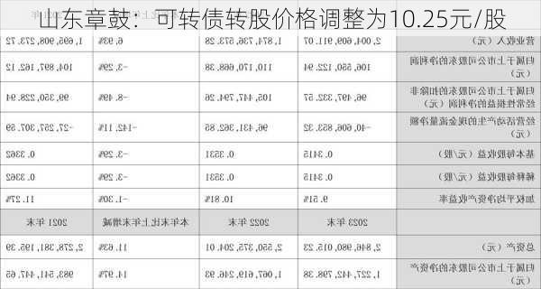 山东章鼓：可转债转股价格调整为10.25元/股