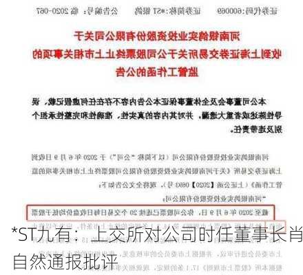 *ST九有：上交所对公司时任董事长肖自然通报批评