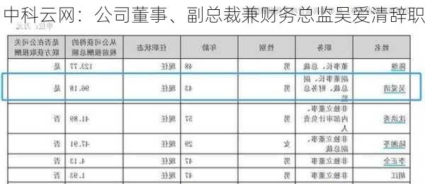 中科云网：公司董事、副总裁兼财务总监吴爱清辞职