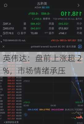 英伟达：盘前上涨超 2%，市场情绪承压