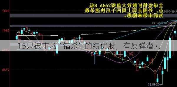 15只被市场“错杀”的绩优股，有反弹潜力