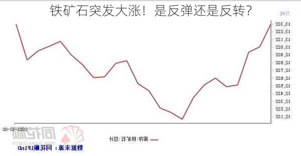 铁矿石突发大涨！是反弹还是反转？