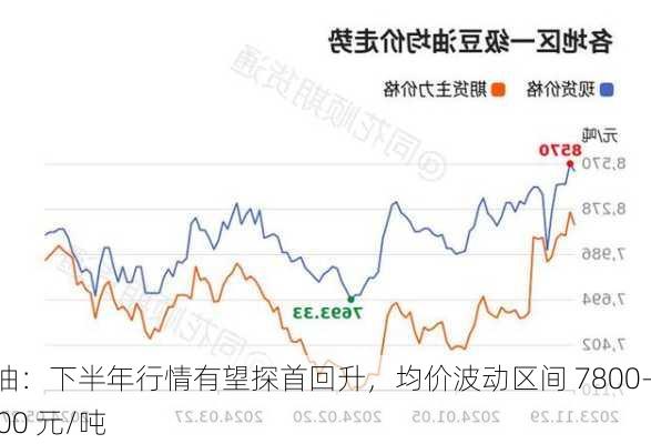 豆油：下半年行情有望探首回升，均价波动区间 7800-8800 元/吨