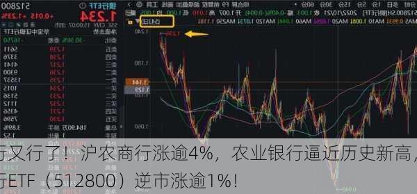 银行又行了！沪农商行涨逾4%，农业银行逼近历史新高，银行ETF（512800）逆市涨逾1%！