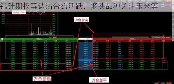 锰硅期权等认沽合约活跃，多头品种关注玉米等