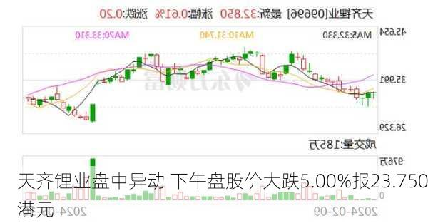 天齐锂业盘中异动 下午盘股价大跌5.00%报23.750港元