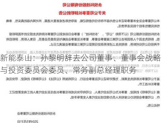 新能泰山：孙黎明辞去公司董事、董事会战略与投资委员会委员、常务副总经理职务