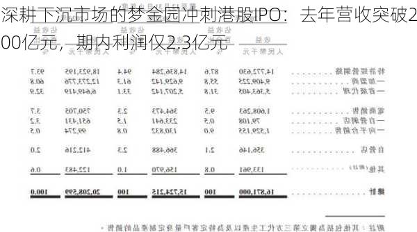 深耕下沉市场的梦金园冲刺港股IPO：去年营收突破200亿元，期内利润仅2.3亿元