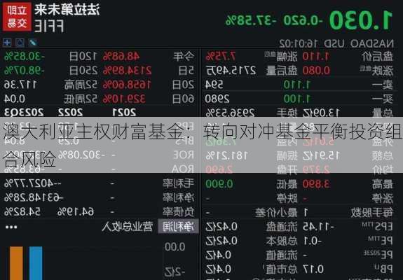 澳大利亚主权财富基金：转向对冲基金平衡投资组合风险