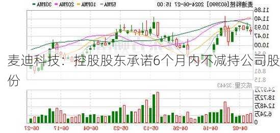 麦迪科技：控股股东承诺6个月内不减持公司股份