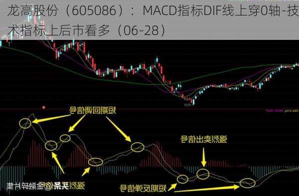 龙高股份（605086）：MACD指标DIF线上穿0轴-技术指标上后市看多（06-28）