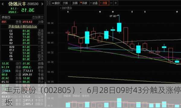 丰元股份（002805）：6月28日09时43分触及涨停板