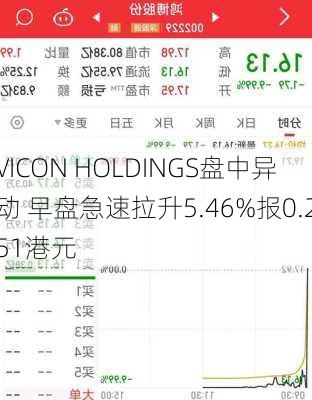 VICON HOLDINGS盘中异动 早盘急速拉升5.46%报0.251港元