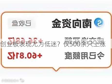 创业板表现尤为低迷？仅500余只上涨