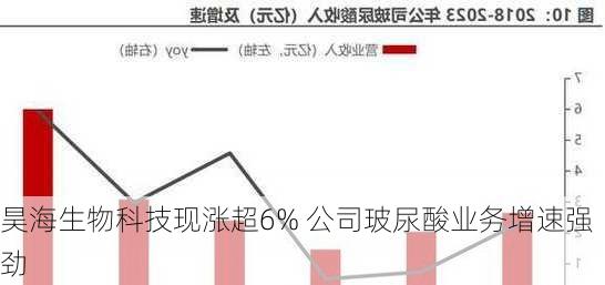 昊海生物科技现涨超6% 公司玻尿酸业务增速强劲