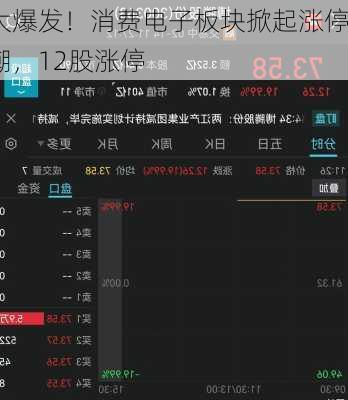 大爆发！消费电子板块掀起涨停潮，12股涨停
