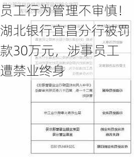 员工行为管理不审慎！湖北银行宜昌分行被罚款30万元，涉事员工遭禁业终身