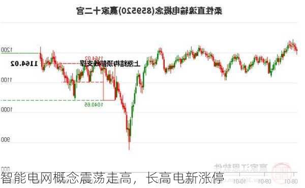 智能电网概念震荡走高，长高电新涨停