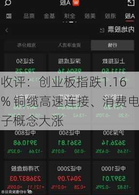 收评：创业板指跌1.16% 铜缆高速连接、消费电子概念大涨