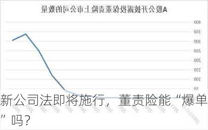 新公司法即将施行，董责险能“爆单”吗？