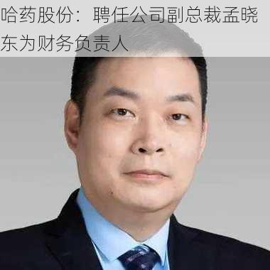 哈药股份：聘任公司副总裁孟晓东为财务负责人