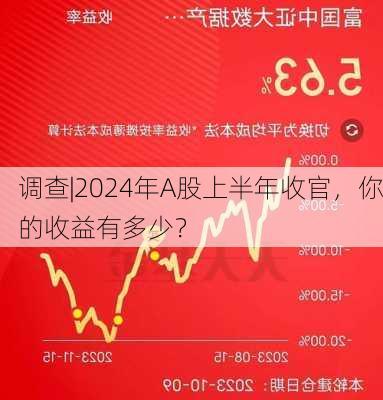 调查|2024年A股上半年收官，你的收益有多少？