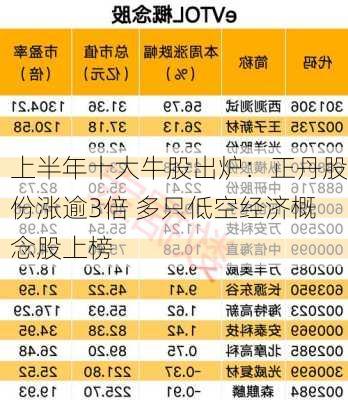 上半年十大牛股出炉：正丹股份涨逾3倍 多只低空经济概念股上榜