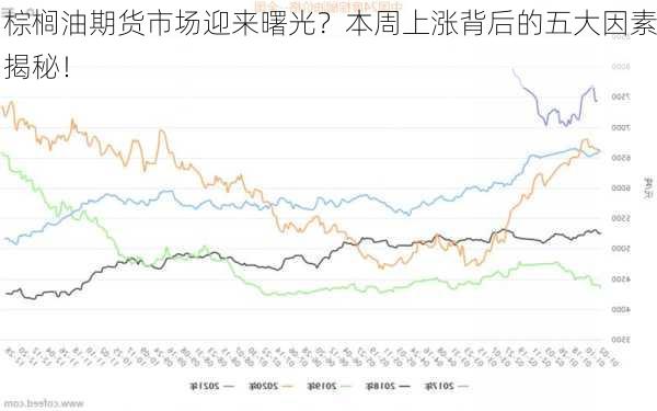 棕榈油期货市场迎来曙光？本周上涨背后的五大因素揭秘！