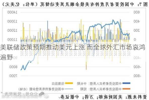 美联储政策预期推动美元上涨 而全球外汇市场哀鸿遍野