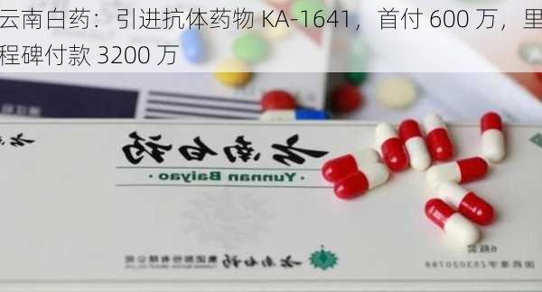 云南白药：引进抗体药物 KA-1641，首付 600 万，里程碑付款 3200 万